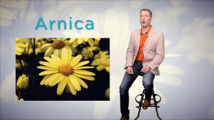 Descubra los remedios de la naturaleza | Arnica y Calendula