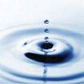 Dilution image