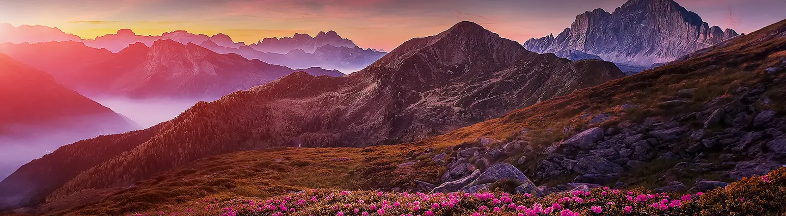 Irritated Eye Relief™